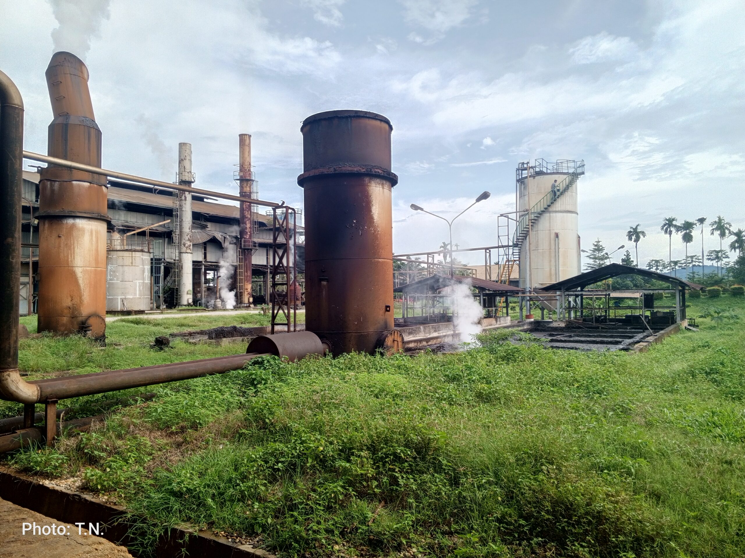 Indonesia’s Palm Oil Firm Tri Bakti Sarimas Asks For Legal Protection From Authority