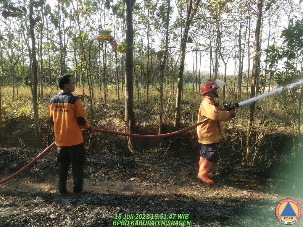Fire Destroys 2 Hectare Forest Area in Indonesia’s Central Java