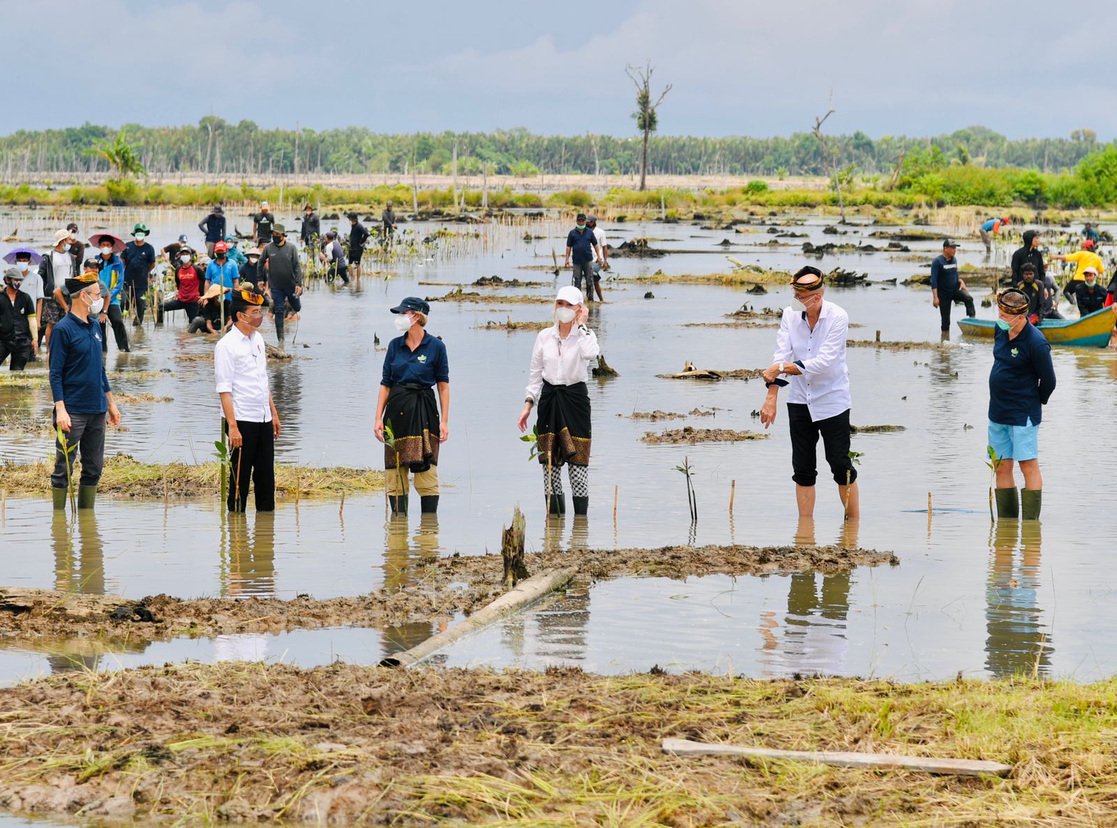 Indonesia Expects Rehabilitating 600K Hectares Mangrove Forests