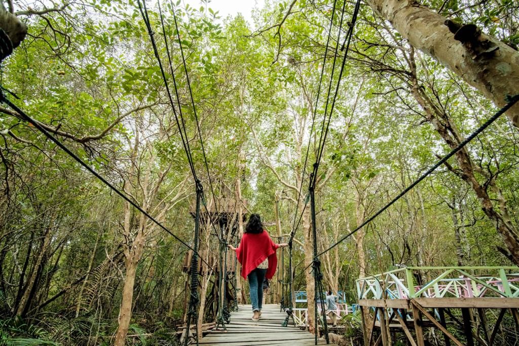 Indonesia Targets Millennials for Mangrove Tourism