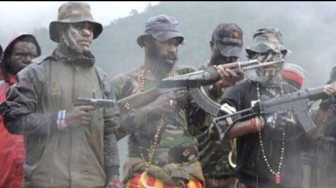 Criminal Group Burns Mission Aircraft in Indonesia’s Papua, No Casualty