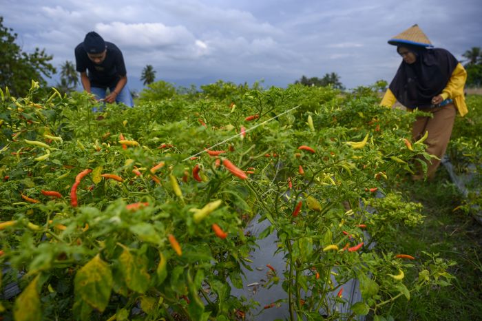 Indonesia Records Deflation 0.05 Pct. in September 2020