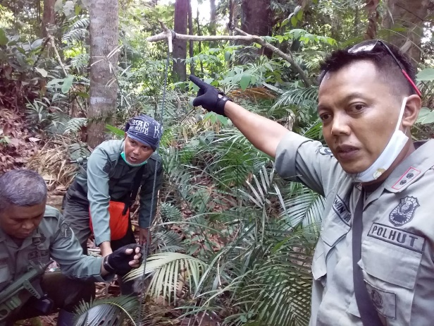 Indonesia Cleans Up Bukit Tiga Puluh National Park to Protect Endangered Fauna
