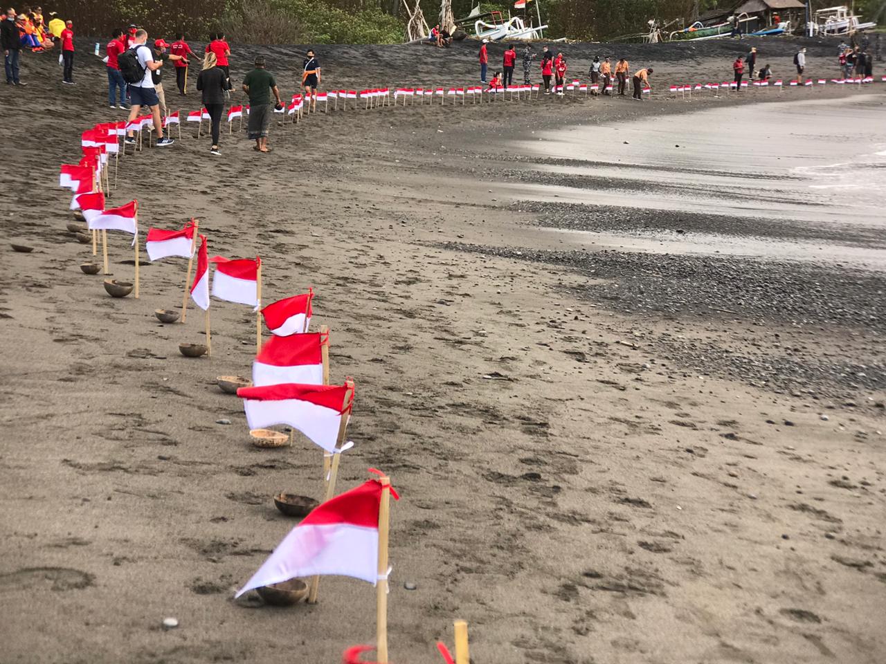 Indonesian Govt. And Civil Society Rescue Olive Ridley Turtles in Bali’s Saba Coast